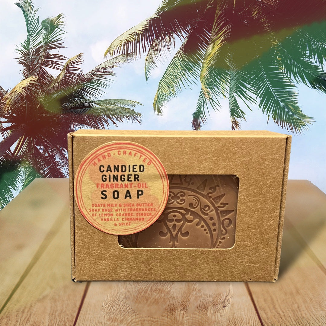 CANDIED GINGER FRAGRANTOIL SOAP