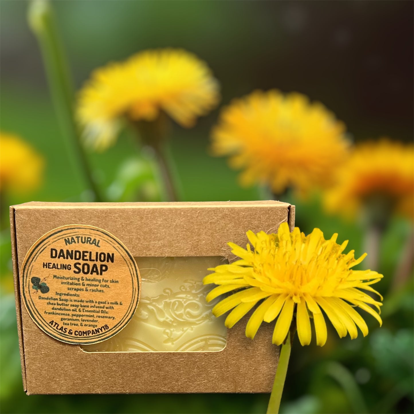 DANDELION SOAP