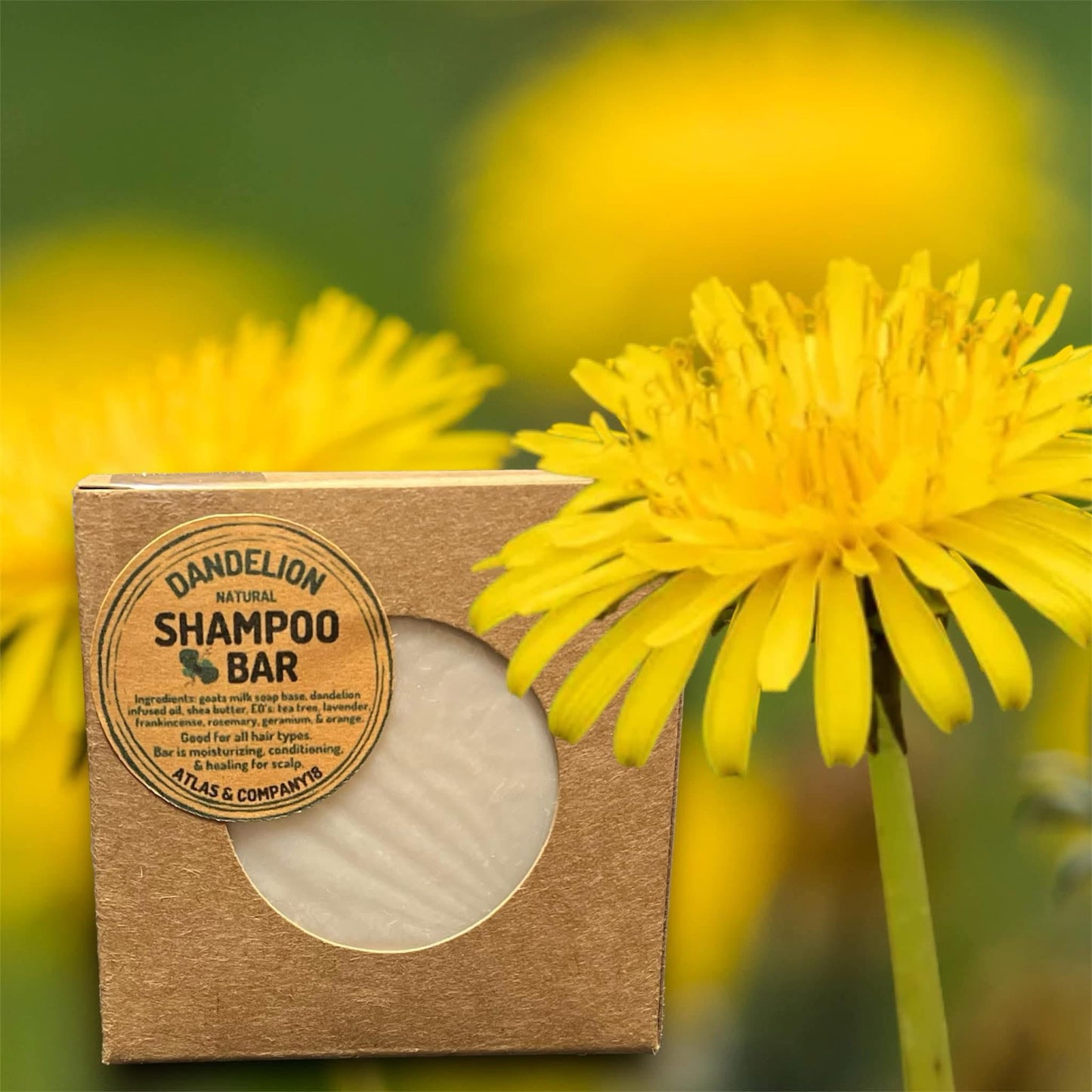 DANDELION SHAMPOO BAR