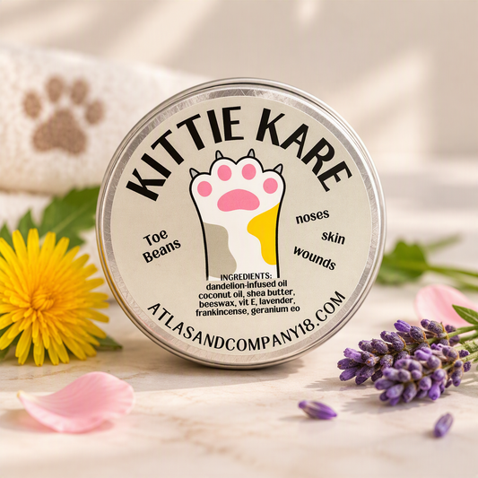 DANDELION KITTIE KARE