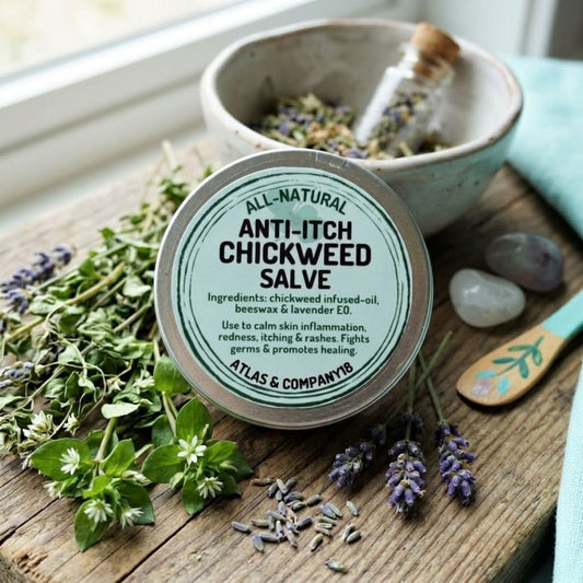 ANTI-ITCH CHICKWEED SALVE